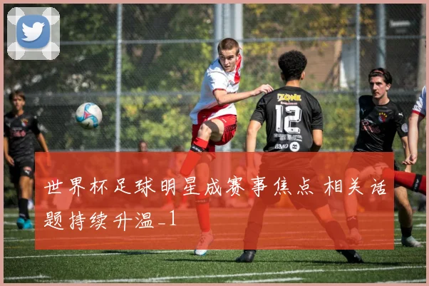 世界杯足球明星成赛事焦点 相关话题持续升温_1