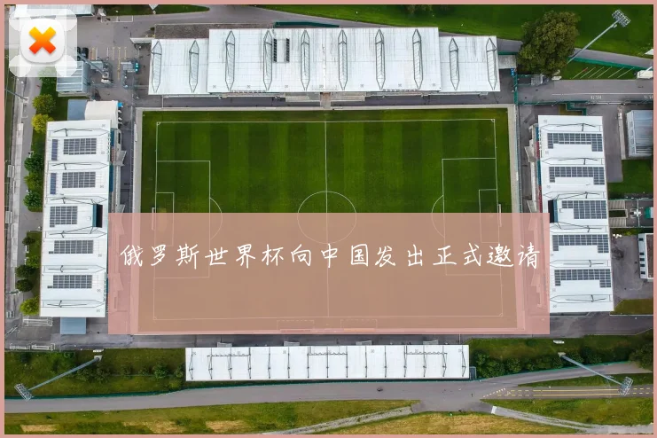 俄罗斯世界杯向中国发出正式邀请