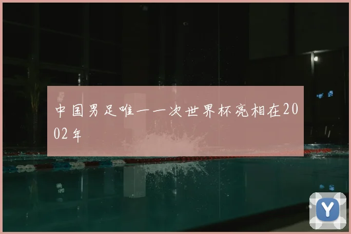 中国男足唯一一次世界杯亮相在2002年