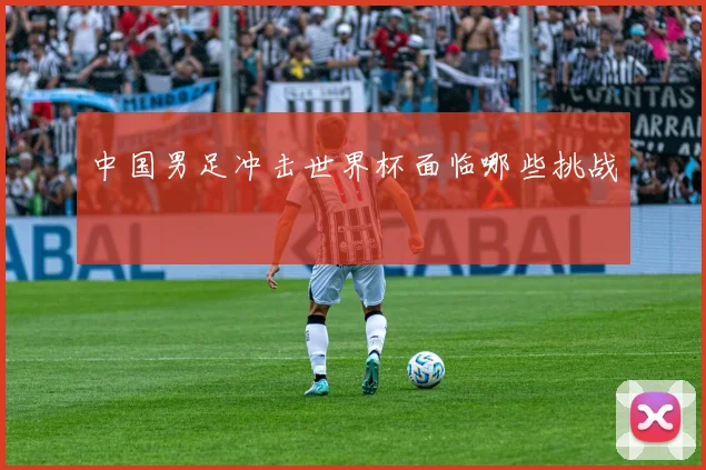 中国男足冲击世界杯面临哪些挑战