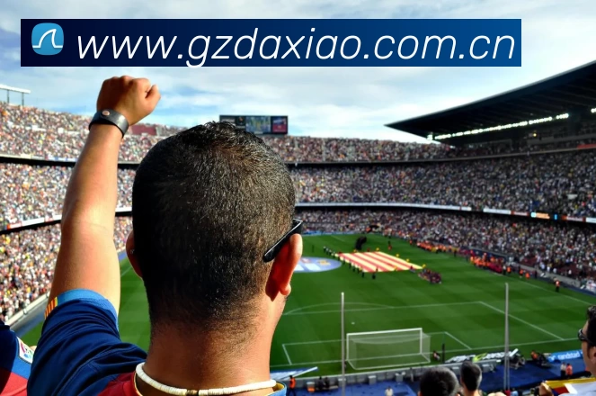 leyu乐鱼手机官网进入服务体系